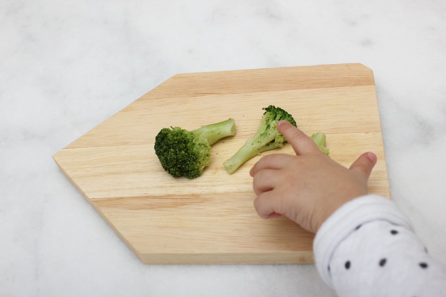 Broccolibomen fingerfood